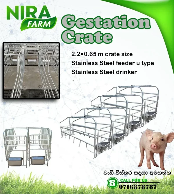 Gestation Crate