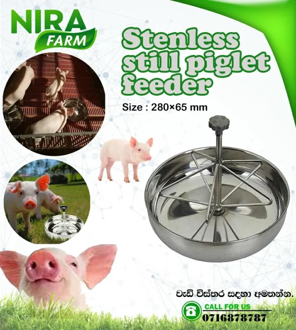 Stainless Steel Piglet Feeder