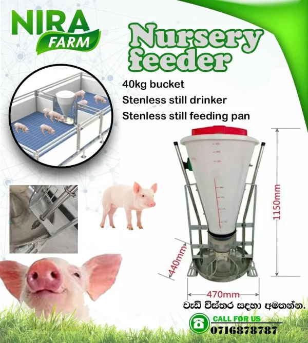 Dry wet feeder for Finishing Pig