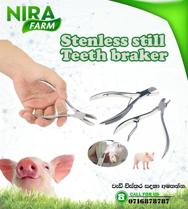 Stainless Steel Teeth Breaker