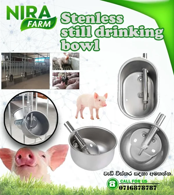 Stainless Steel Drinking Bowl