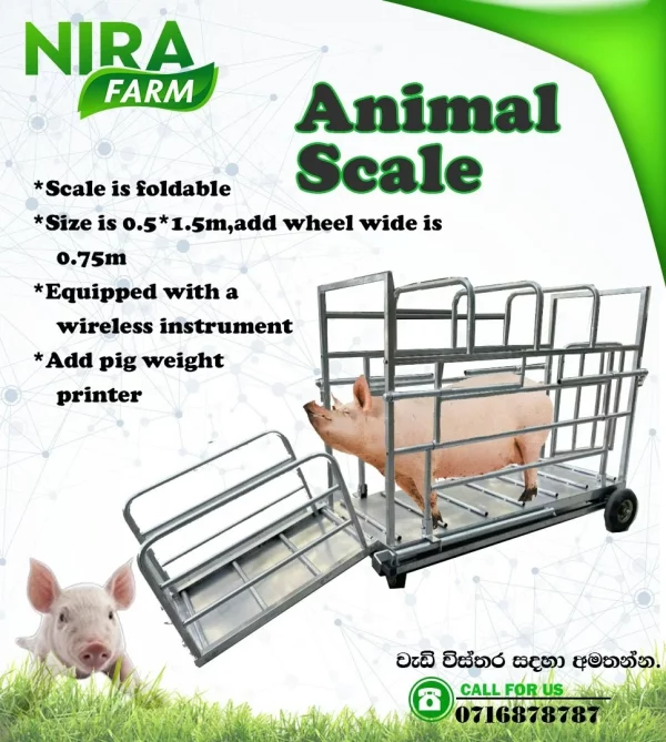 Animal Scale