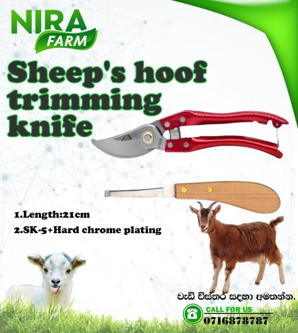 Sheep's hoof trimming knife