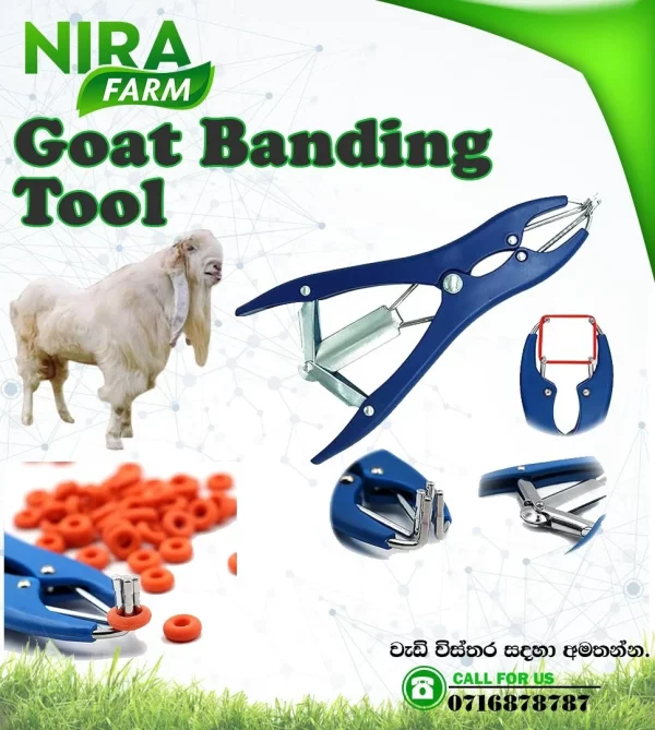 Goat Banding Tool