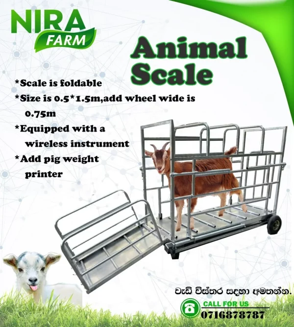 Animal Scale