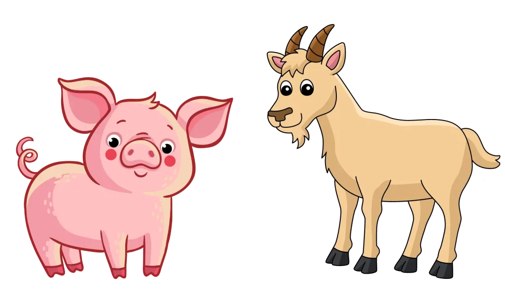 Goat and Pig equipment