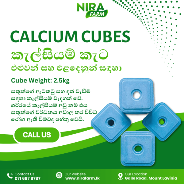 Calcium cubes