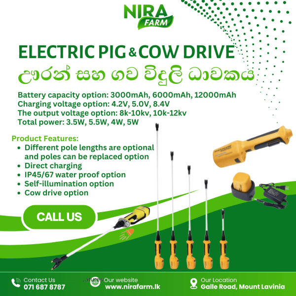 Electric Pig & Cow drive