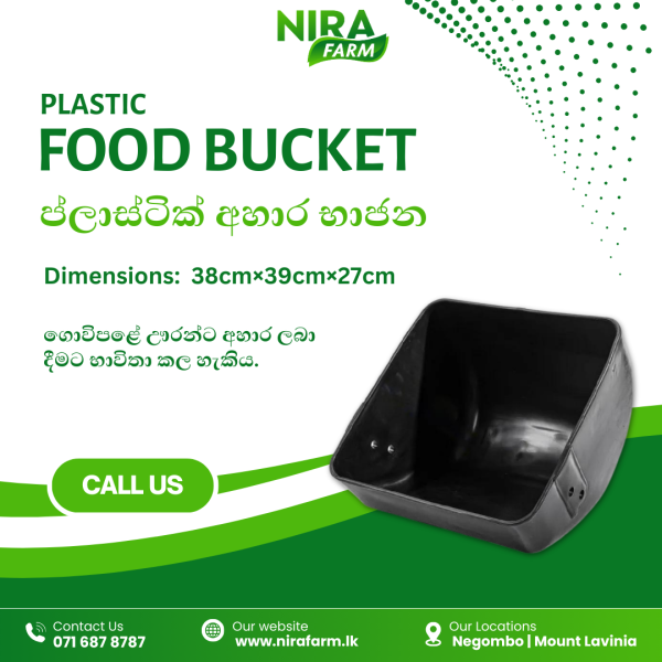 Food Bucket