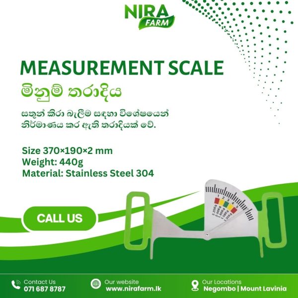 Measurement Scale