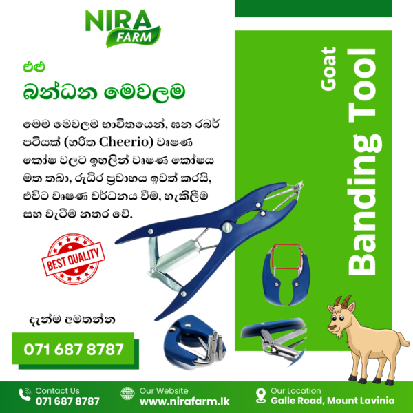 Goat binding tool