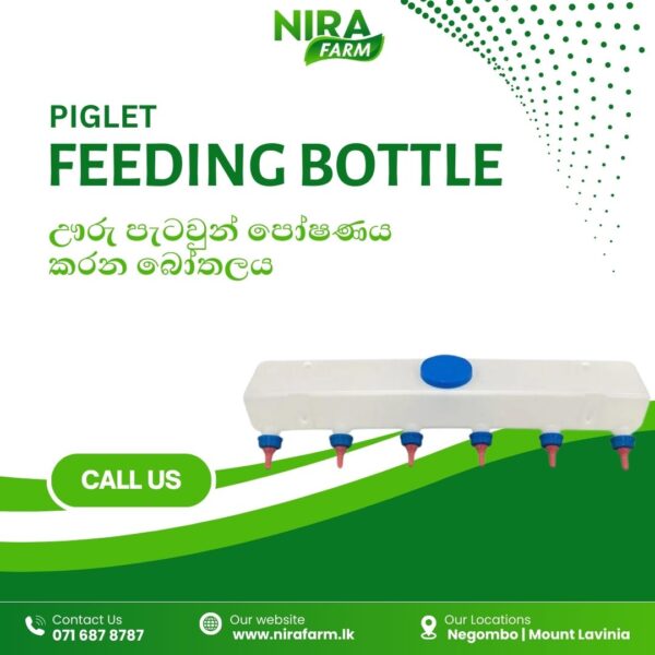Piglet Feeding Bottle