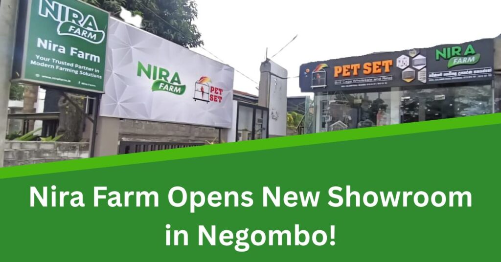 New showroom of Nira Farm