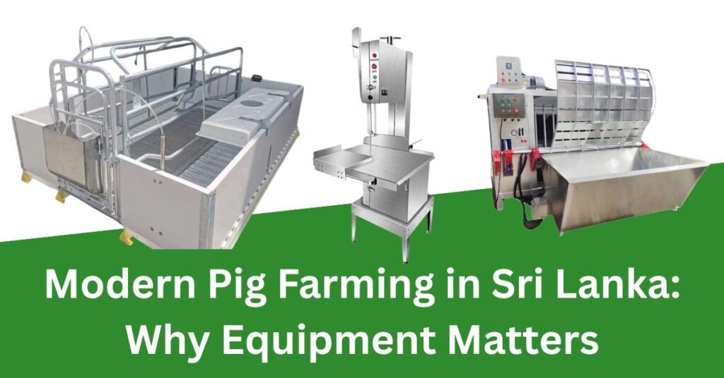 Modern Pig Farming in Sri Lanka: Why Equipment Matters