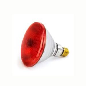 Infrared Heating Bulb (175W)