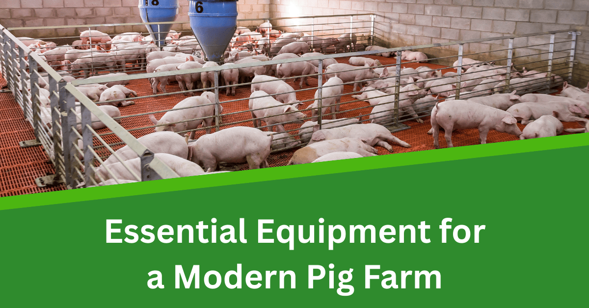 Blog featured image-Essential Equipment for a Modern Pig Farm