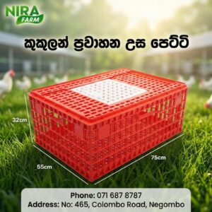 Chicken Transport Crates