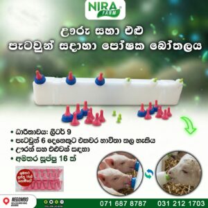 Feeder Bottle for Piglets and Baby Goats