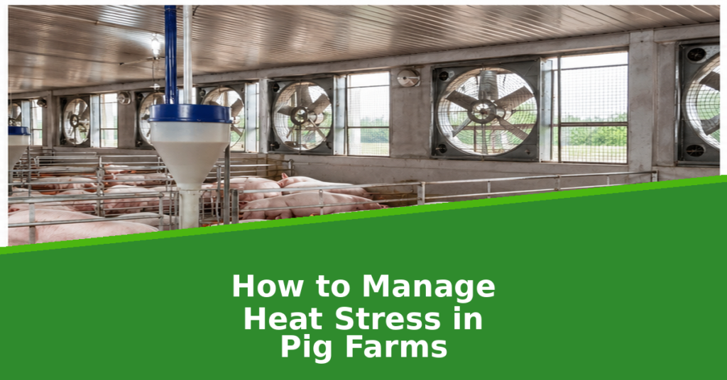 Nira_Farm_Blog_Heat_Stress